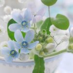 人生の最後を迎えるときどう過ごしたいのか?終末期医療について考える。