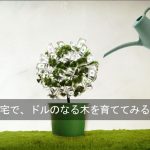 アイハーブを利用して、日本でドルを入手し、貯めていく方法。