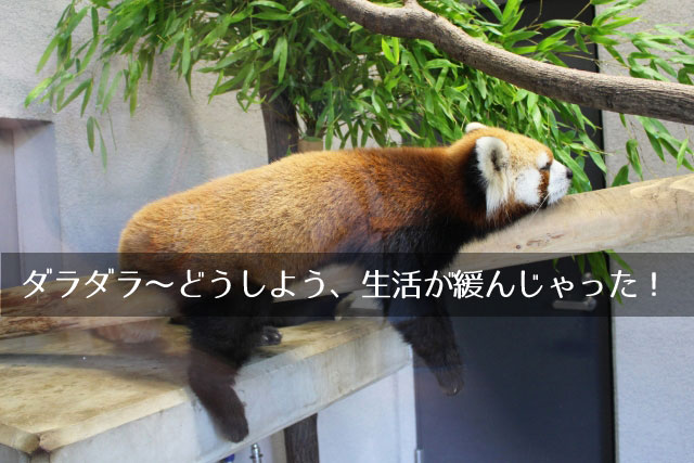 生活リズムの乱れ、ゆるみ切った日常から締める3カ月へ、家計・体重・砂糖・家事・毛穴・スマホ