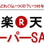 楽天スーパーセール購入品紹介、10店舗買い回りした時のポイントは?いつ付与されるの?